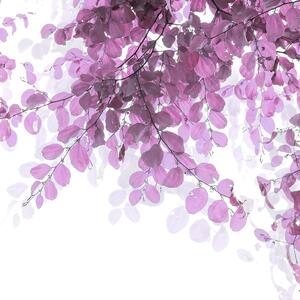 Malvis ® Tapeta Jemné fialové lístky Vel. (šířka x výška): 288 x 200 cm