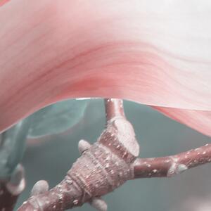 Malvis ® Tapeta Moderní magnolie SKLAD Vel. (šířka x výška): 288 x 200 cm