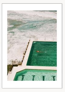 Plakát Bondi Icebergs