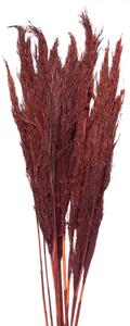 Vínová kytice sušené květy bambusu Bamboo – 100 cm