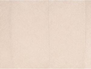Krémový sametový polštář PT LIVING Velvet, 60 x 30 cm