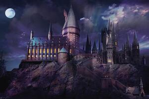 Umělecký tisk Harry Potter - Hogwarts night