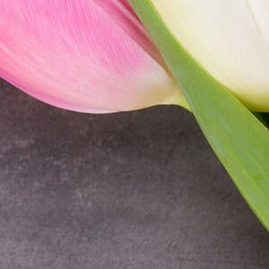 Malvis ® Tapeta Kytice tulipánů Vel. (šířka x výška): 144 x 105 cm