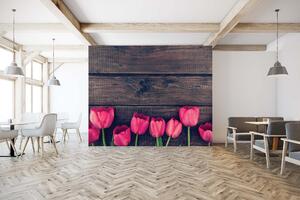 Malvis ® Tapeta Tulipány na dřevě Vel. (šířka x výška): 144 x 105 cm