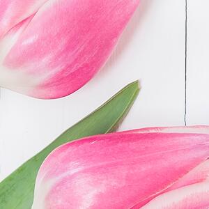 Malvis ® Tapeta Tulipány a bílé dřevo Vel. (šířka x výška): 144 x 105 cm