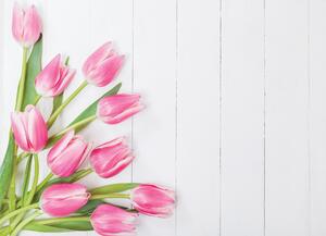 Malvis ® Tapeta Tulipány a bílé dřevo Vel. (šířka x výška): 144 x 105 cm