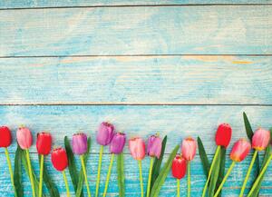Malvis ® Tapeta Tulipány a azurové dřevo Vel. (šířka x výška): 144 x 105 cm