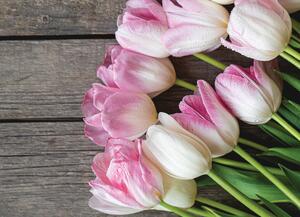Malvis ® Tapeta Zaostřené tulipány na dřevě Vel. (šířka x výška): 144 x 105 cm