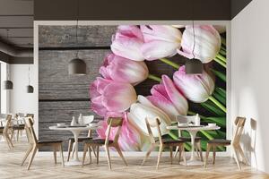Malvis ® Tapeta Zaostřené tulipány na dřevě Vel. (šířka x výška): 288 x 200 cm