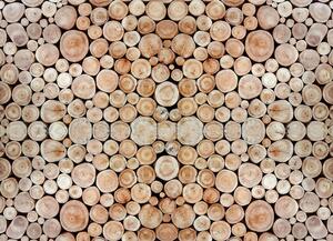 Malvis ® Tapeta Špalky dřeva Vel. (šířka x výška): 144 x 105 cm