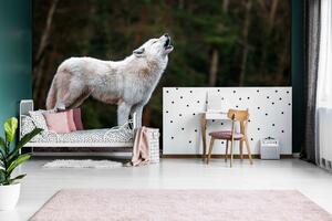 Malvis ® Tapeta Bílý vlk Vel. (šířka x výška): 144 x 105 cm