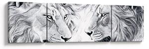 Obraz - Kreslené lví hlavy (170x50 cm)