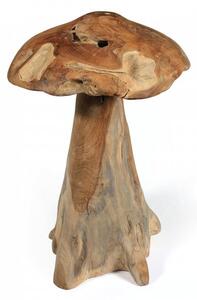 Houba, Teakové dřevo 30 cm