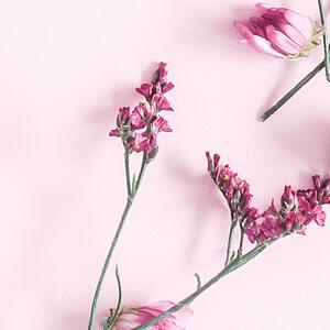 Malvis ® Tapeta Růžová tématika květin Vel. (šířka x výška): 144 x 105 cm