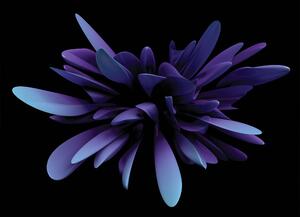 Malvis ® Tapeta Abstraktní tvar květu Vel. (šířka x výška): 144 x 105 cm
