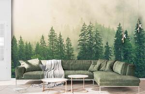 Malvis ® Tapeta Brzká lesní mlha Vel. (šířka x výška): 144 x 105 cm