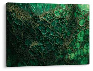 Obraz - Zelený mikroskopický snímek (70x50 cm)