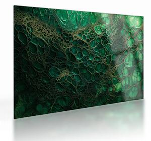 Skleněný obraz - Zelený mikroskopický snímek (70x50 cm)