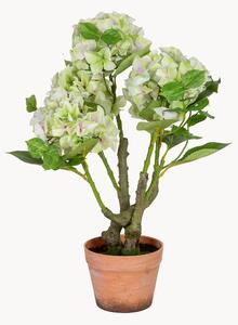 Umělá rostlina Hydrangea