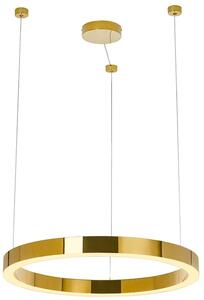 Moosee Ring Luxury závěsné svítidlo 1x60 W zlatá MSE010100190