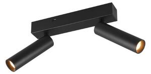Trio T849210232 LED bodové stropní svítidlo AMBALA integrovaný LED zdroj | 2x500lm | 2300+3000+4000K