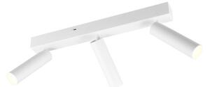 Trio T849210331 LED bodové stropní svítidlo AMBALA integrovaný LED zdroj | 3x500lm | 2300+3000+4000K