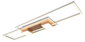 Trio T647710465 LED přisazené stropní svítidlo ALBANY | 37W integrovaný LED zdroj | 4300lm | 2700-6500K