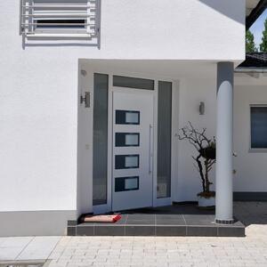Vchodové dveře bílé 110 x 210 cm hliník a PVC
