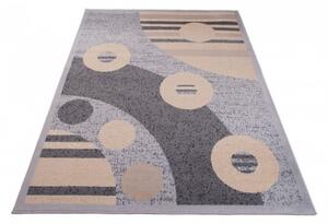 Moderní kusový koberec CARLET CA0170 - 220x300 cm