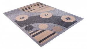 Moderní kusový koberec CARLET CA0170 - 220x300 cm