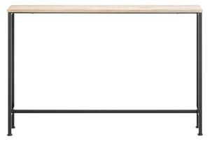 Sobuy Fsb19-Xl-Z Konzolový Stolek Boční Stolek Odkládací Stolek 120X80X20Cm