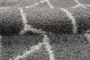 Exkluzivní kusový koberec SHAGGY LOCANA L0820 - 220x320 cm