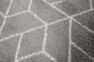 Exkluzivní kusový koberec SHAGGY LOCANA L0830 - 220x320 cm