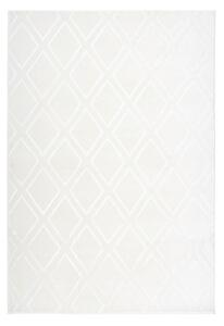 BĚHOUN, 80/150 cm, bílá - Online Only koberce & rohožky, Online Only