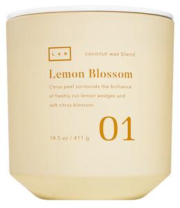 DW HOME Lemon Blossom Vonná svíčka ve skle, 411 g