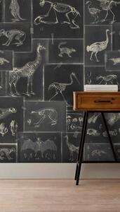 Mind the Gap WP 20237 Zooarcheology Anthracite