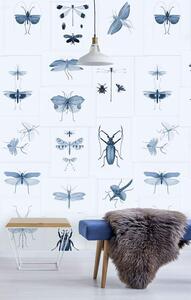 Mind the Gap WP 20235 Entomology Blue