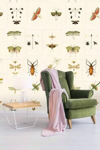 Mind the Gap WP 20233 Entomology