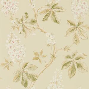 Sanderson Tapeta Chestnut Tree, kolekce Woodland Walk tapet Sanderson: Coral/Bayleaf
