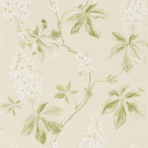 Sanderson Tapeta Chestnut Tree, kolekce Woodland Walk tapet Sanderson: Lemon/Lettuce