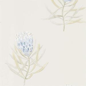 Sanderson PROTEA FLOWER - China Blue/Canvas - 216327