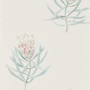 Sanderson PROTEA FLOWER - Porcelain/Blush - 216330