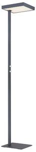 STOJACÍ LED LAMPA, 40/28/184,8 cm Globo - Online Only svítidla, Online Only