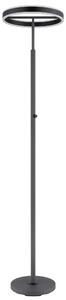 STOJACÍ LED LAMPA, 40/181 cm Globo - Online Only svítidla, Online Only
