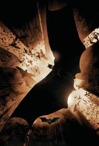 Plakát, Obraz - The Dark Knight Trilogy - Bat Wings