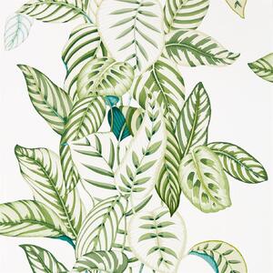 Sanderson Tapeta Calathea Odstín tapety: Botanical Green