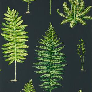 Sanderson Fernery Odstín tapety: Botanical Green/Charcoal
