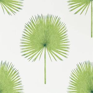 Sanderson Fan palm Odstín tapety: Botanical Green