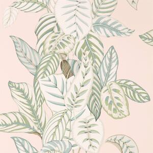 Sanderson Tapeta Calathea Odstín tapety: Orchid/Eucalyptus
