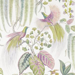 Sanderson Bird of paradise Odstín tapety: Olive